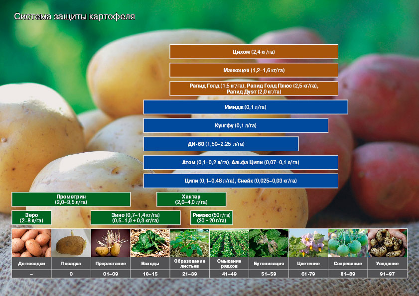 Схема защиты картофеля